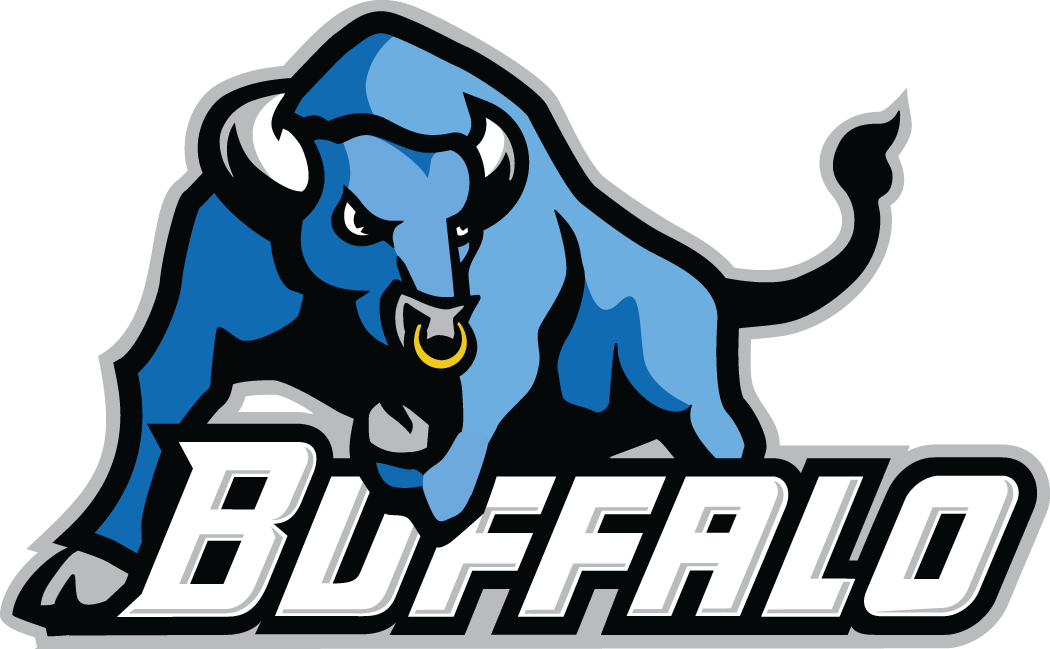 Buffalo Bulls 2007-2011 Primary Logo diy fabric transfer